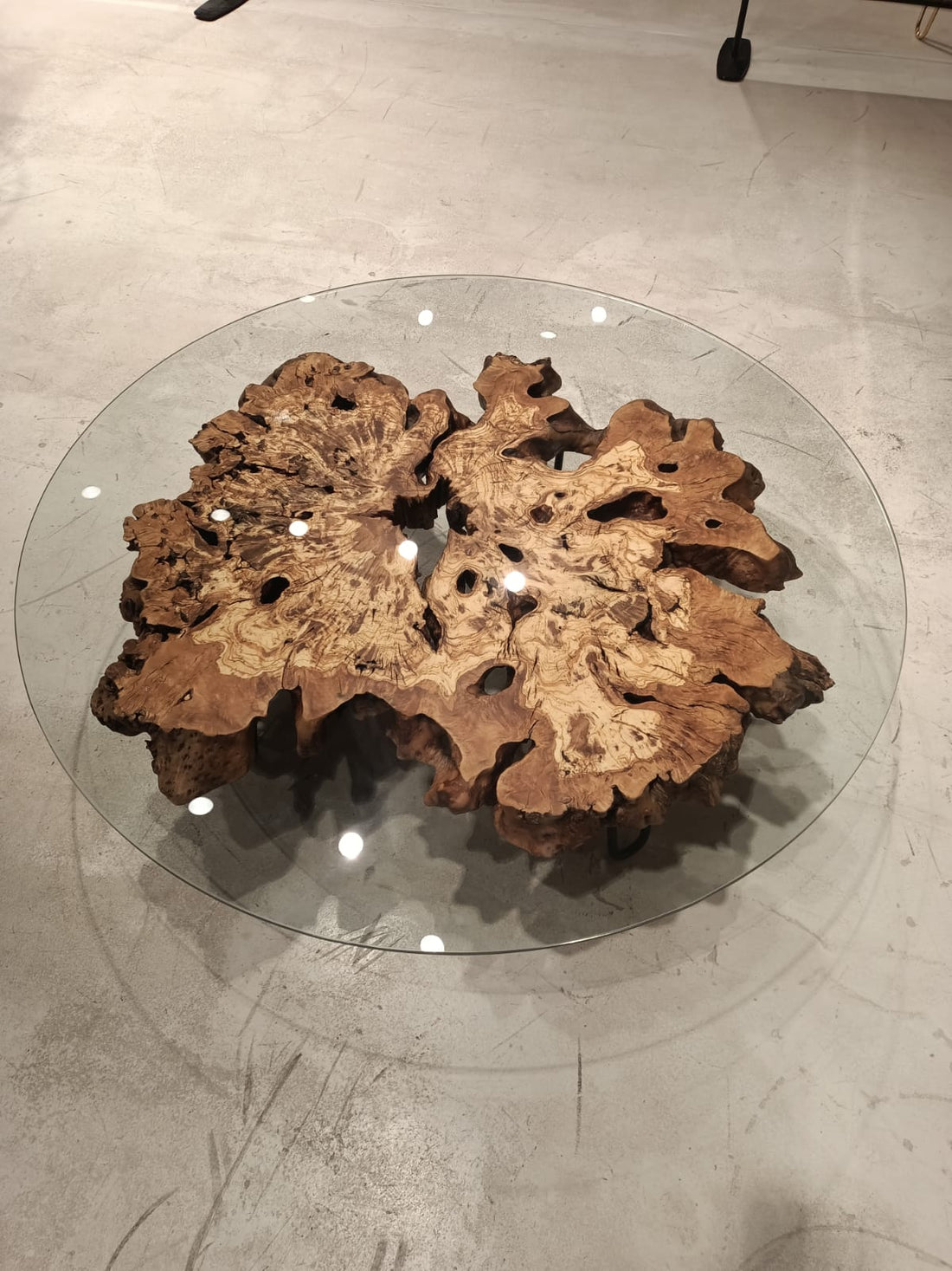 olive wood burl coffee table